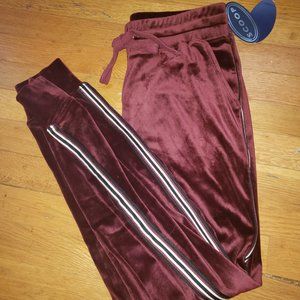 Scoop velour jogger